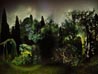 Paysage carnivore_Mirka Lugosi