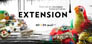 festival EXTENSION