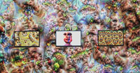 living with artificial intelligence