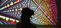 julio le Parc-palais de tokyo