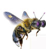 BIZZandBUZZ