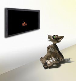 Tv-install