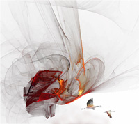 migration